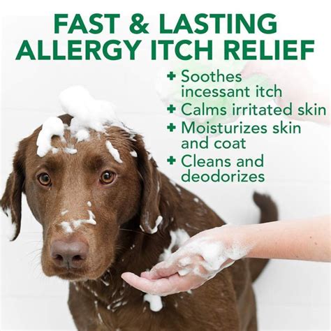 Dog Shampoo For Allergy Skin